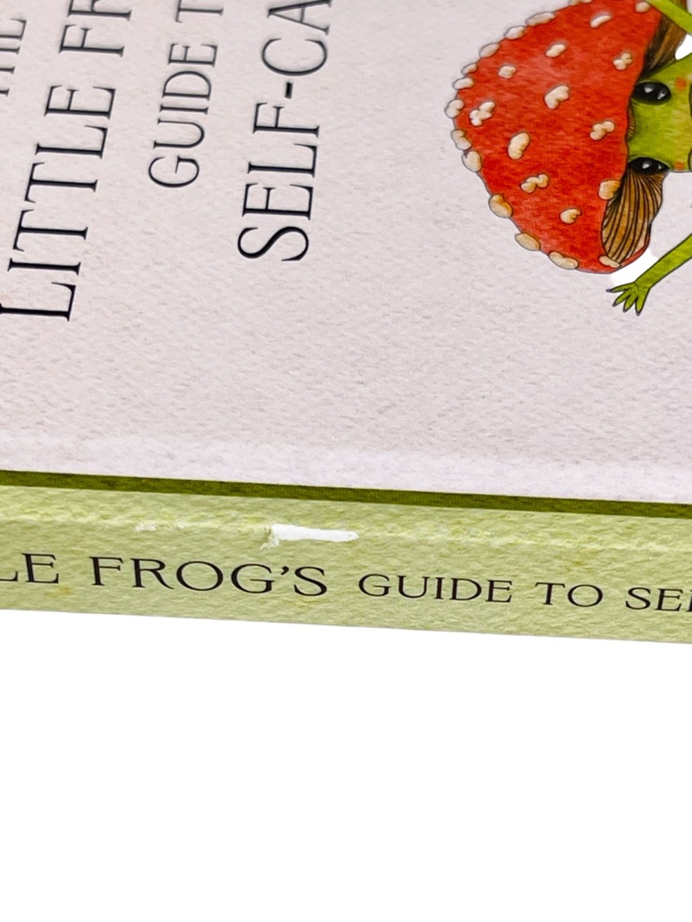 BOOK: The Little Frog's Guide to Self-Care by Maybell Eequay (Hardcover) - Picture 6 of 6